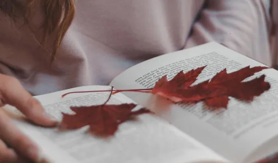 漫漫撸(漫画阅读软件) 漫漫撸(漫画阅读软件)