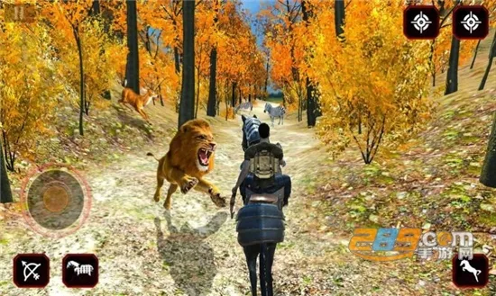 希卡里猎人2025最新版本 希卡里猎人2025最新版本