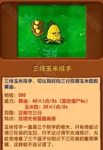 ֲ���ս�ӽ�2025�ٷ����°汾
