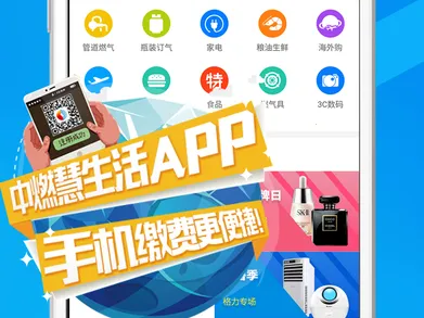 ��ȼ������(ȼ���������)