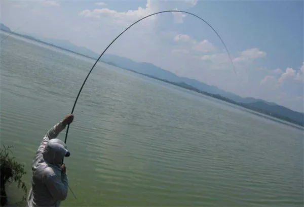 钓鱼通(钓鱼服务软件) 钓鱼通(钓鱼服务软件)