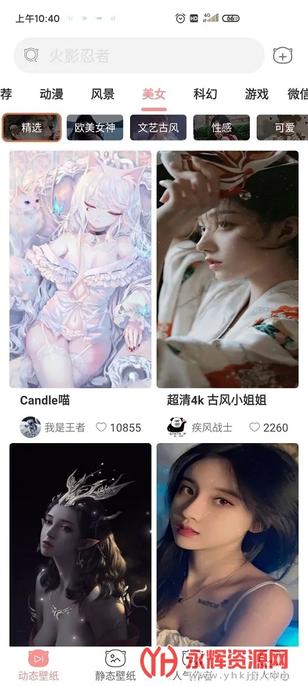 萌猫桌面壁纸2025最新版本 萌猫桌面壁纸2025最新版本