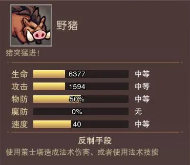 塔王之王22025最新版本 塔王之王22025最新版本