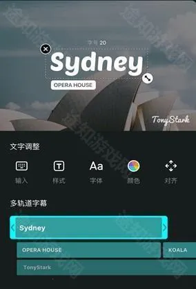 VN�Ӽ���(��Ƶ��������)