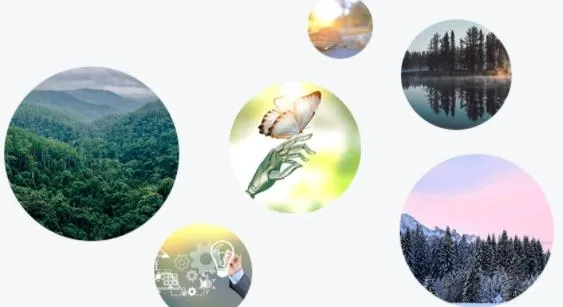 �̳�2026�ٷ�����