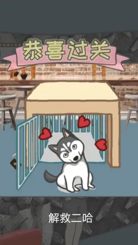 竟然养二哈 竟然养二哈