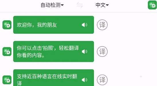极致语言翻译器 极致语言翻译器