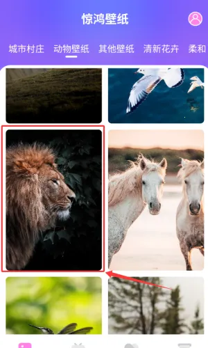 �����ֽ2026���°汾