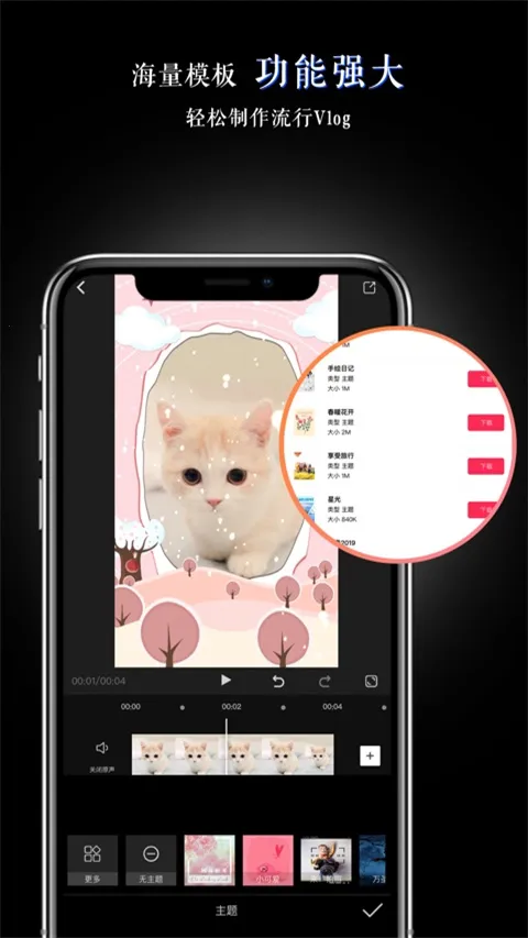 myVideo