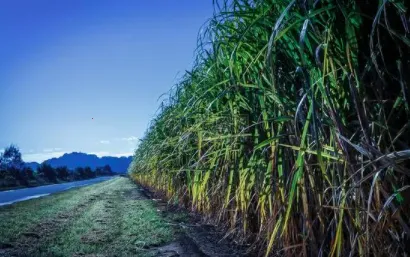 ����ũ��2026���ذ�װ