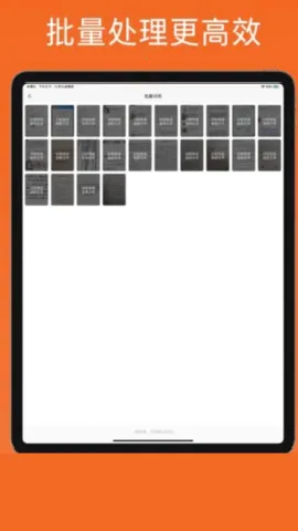 ɨ����.2026�ٷ����°汾