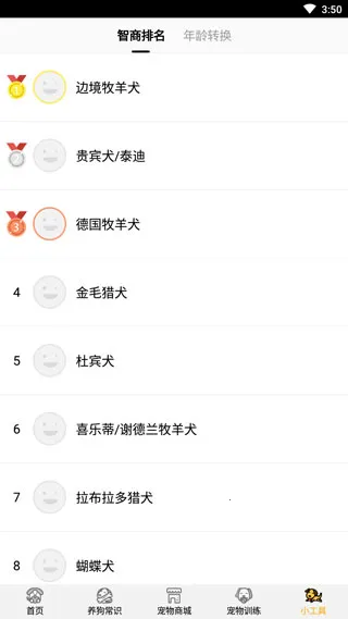 狗语翻译器2026最新版本 狗语翻译器2026最新版本