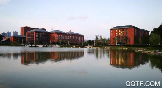 掌上成医 掌上成医