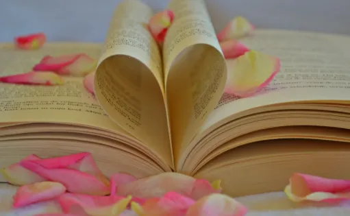 �����Ķ�