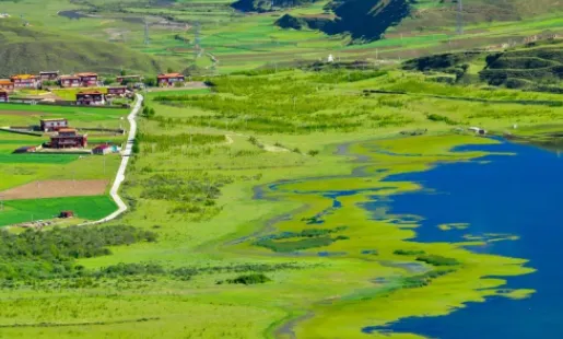 �������2026���ذ�װ