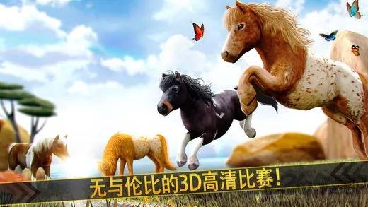 �����п�2026�ٷ�����