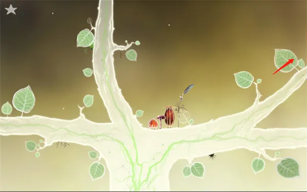 botanicula������