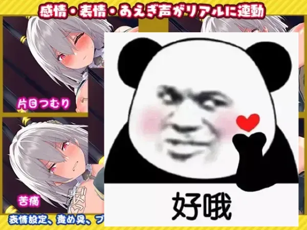 ����ģ���������ֻ���