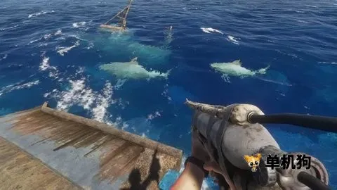 ���ǳ�ĵ�����