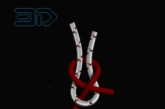 Knots 3D2026�ٷ����°汾