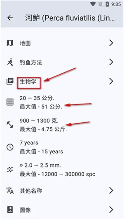 �����������ֻ���