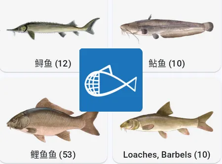 �����������ֻ���