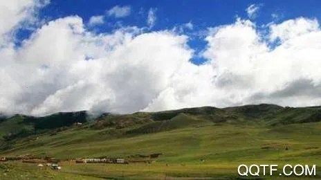 玉树通安卓版手机版 玉树通安卓版手机版