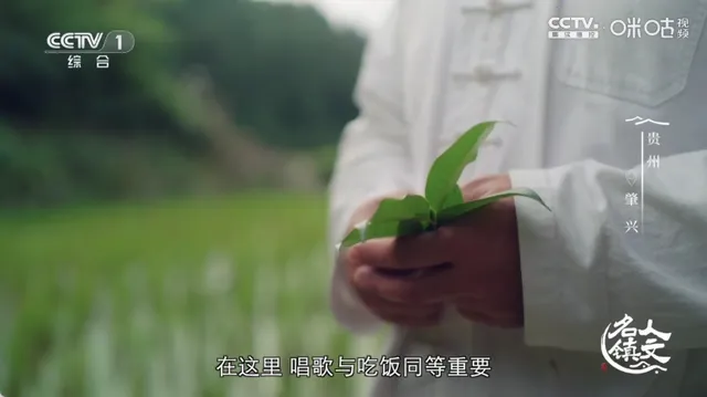 �䳲ֱ��TV����2026���ذ�װ