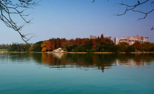 B12�����׿���ֻ���