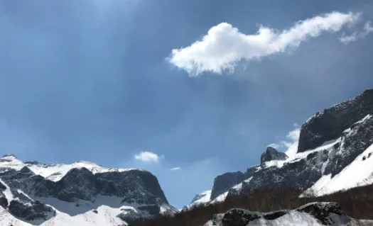 B12�����׿���ֻ���