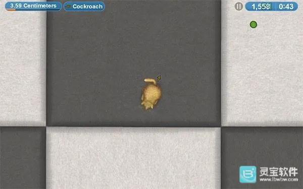 ��ζ����4