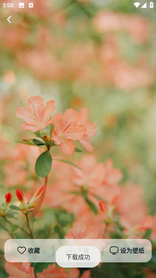 Ծ����ֽ2026�ٷ����°汾