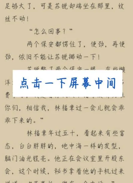 ľ��׷��(С˵�Ķ�����)