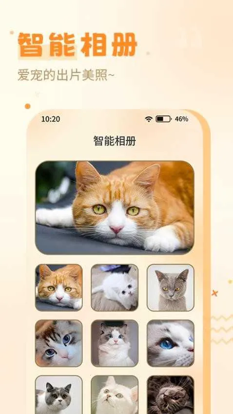 ����è��2026���°汾