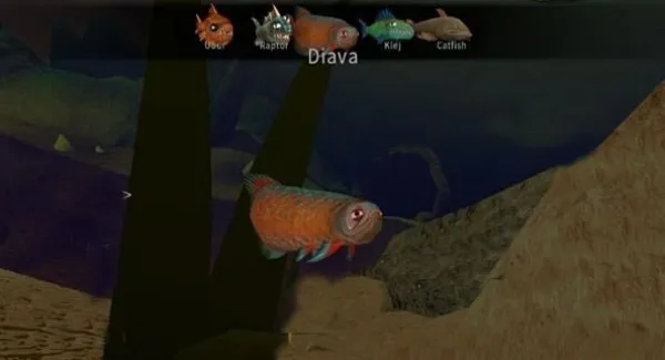 ���״���ɱ����