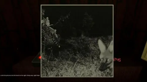 动物观察员恐怖游戏 动物观察员恐怖游戏