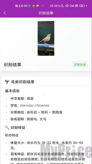 ʶ�������ֻ���