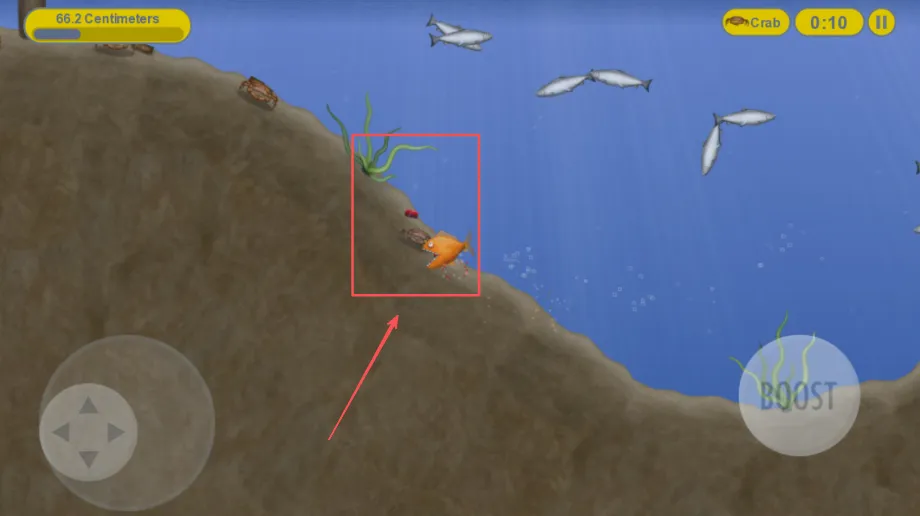 ��ζ������������