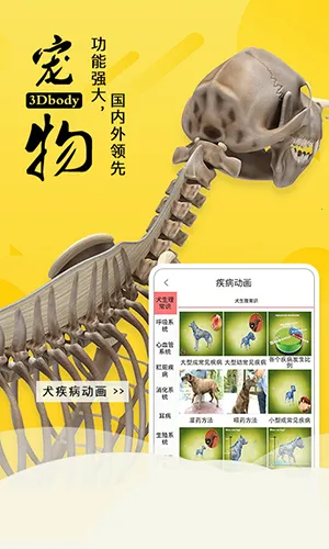 3dbody��������