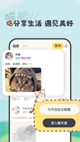 ����(�����罻����)