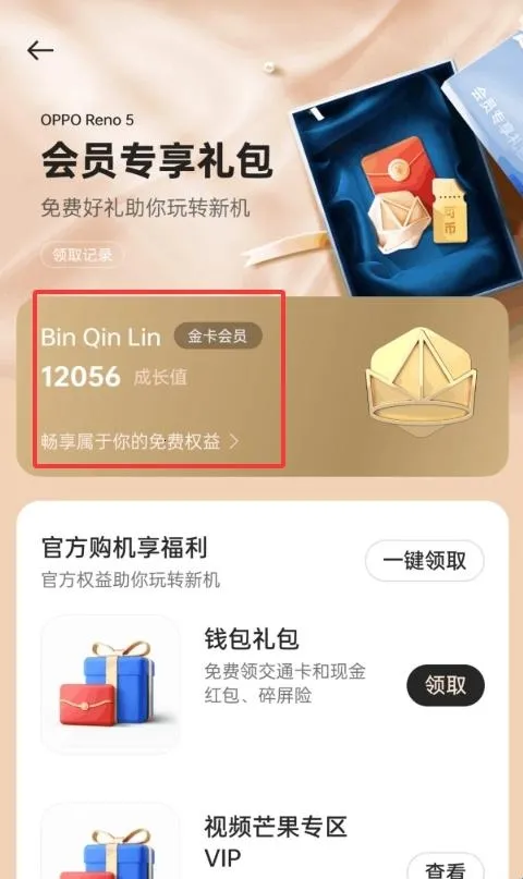 �ҵ� realme2026���ذ�װ