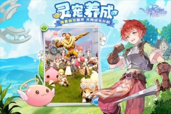 �ɾ���˵ro����(ro�����Ż���)