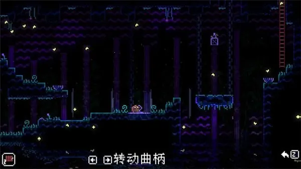 ���ﾮAnimalWell