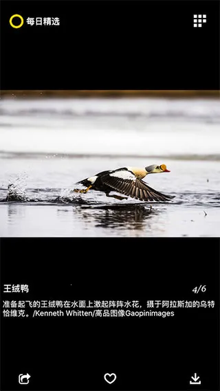 ÿ�վ�ѡ(������Ӱ����)