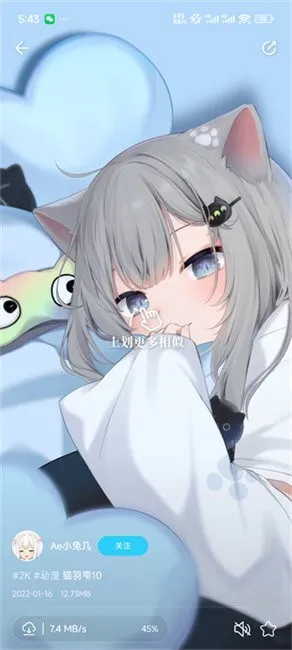 ������Ƶ��ֽ(��ֽ����)