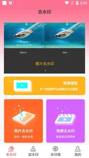 ȥˮӡ��(ˮӡ��������)
