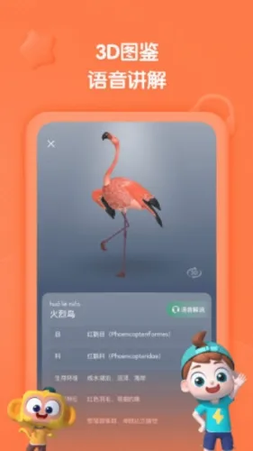 �����ٿư�׿���ֻ���