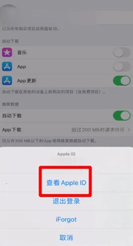 ƻ��Ӧ���̵�AppStore2026���°汾